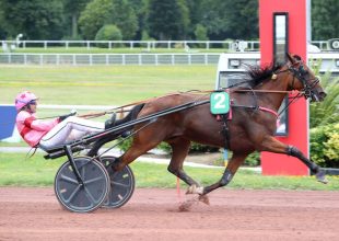 Évzáró Kincsem+ futam