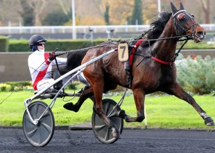 Vasárnap Jizou d'Etang a Kincsem+ favoritja!