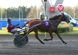 15:15-kor indul a Kincsem+ szombaton