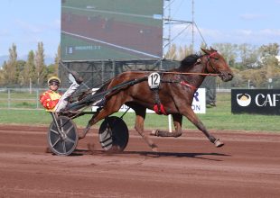 Jaflosa Girl duplázhat pénteken!