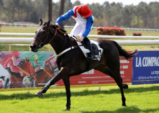 Kadover a főszereplők közé tartozhat a hétfői Kincsem+ futamban