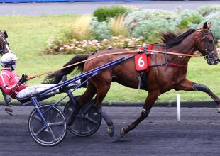 400 millió Ft jackpot a vasárnapi Kincsem+-ban!