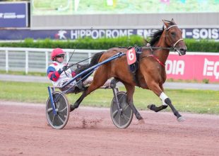 Szerdai Kincsem+ futamelemzés