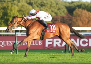 Don't Shut Me Down a győzelmet is megszerezheti a csütörtöki Kincsem+ futamban