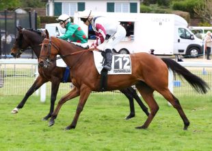 Tortisambert megszerezheti az első Kincsem+ sikerét kedden