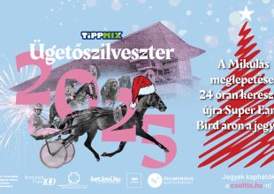 A MIKULÁS MEGLEPETÉSE