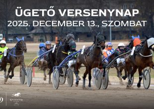 SZOMBATI ÜGETŐ A KINCSEM PARKBAN, KEZDÉS 11.30 ÓRAKOR