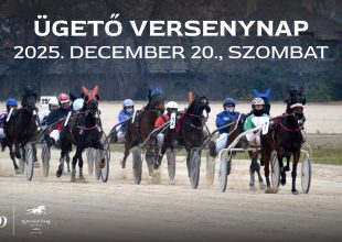 SZOMBATI ÜGETŐ 11:30-TÓL A KINCSEM PARKBAN