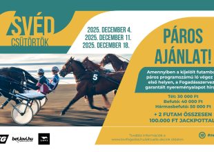 SVÉD CSÜTÖRTÖK, PÁROS AJÁNLAT – 2025. DECEMBER