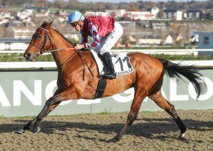 Galoppversenyen a péntek esti Kincsem+ játék