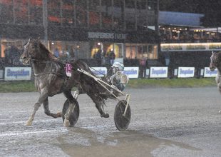 Chitchat kedvező starthelyét kihasználva ráduplázhat korábbi győzelmére