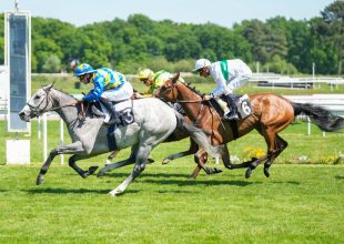 Euskadi és Aloysius is az esélyesek között a francia szaklapok szerint