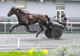 Executiv Ek komoly figyelmet érdemel szombaton!