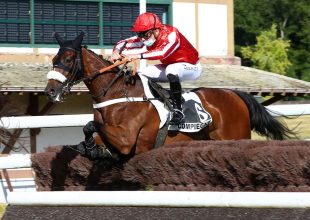 Keddi akadályverseny a Kincsem+ játék