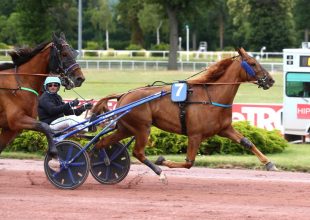 Hubble du Vivier lehet a szombati Kincsem+ futam középpontjában