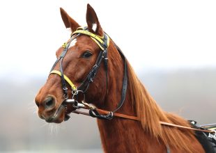 Jackpotos vasárnap!