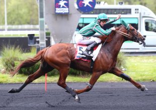 Jackpotos Kincsem+ játék vasárnap!