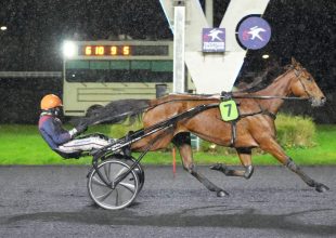 Jamaica Brown főszereplő lehet a hétfői Kincsem+ futamban