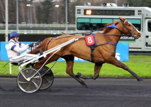 A csütörtöki Kincsem+ favoritja Janko Haufor