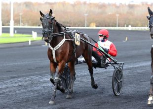 Kaxig In vagy Sandokan?