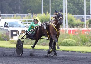 Keddi Kincsem+ esélyelemzés