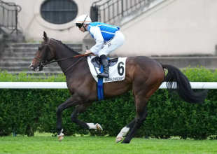 Cagnes-sur-Mer, galopp, hétfő 13:55, Kincsem+ játék