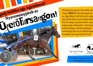 FOGADJ ÖRÖKBE EGY ÜGETŐLOVAT!