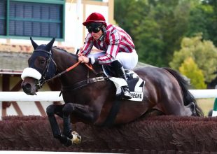 Gátverseny szerdán!