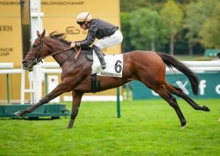 Big Log, a stabilitás mintaképe várásból főszereplő lehet