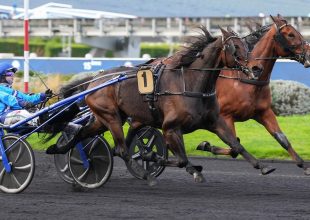 Chitchat két győzelem és egy újonnan ügetett egyéni rekord után méltán az esélyesek között