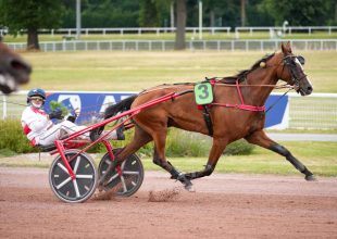 Ne maradj le csütörtökön sem a Kincsem+-ról!