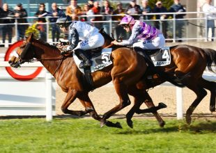 Galoppal indul a hét