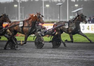 Hokkaido Jiel Franck Nivard-ral ismét nyerő párost alkothatnak