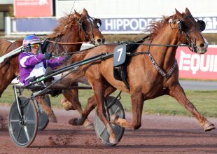 Csütörtökön 20 millió Ft jackpot a Kincsem+ Kombi 3 játékon!