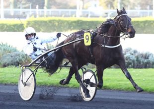 Szerdán Vincennes-ben folytatódik a Kincsem+