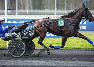 Kanto Avis és a környezetváltozás