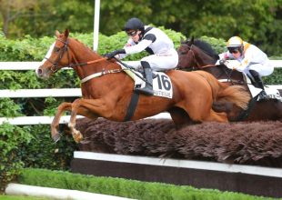 Kassel Allen javíthat