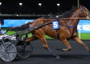 Loulou Dab tovább menetelhet pénteken