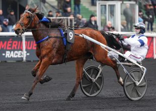 Lady de Vandel, Luna Haufor vagy Lesdy Magoda?