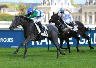 Prince de Montfort beleszólhat az első öt helyezés alakulásának sorsába kedden