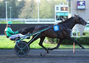 Working Class Hero a szombati Kincsem+ favoritja