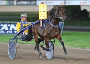 Xerava C.D. komoly figyelmet érdemel kedden