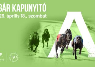 ELÉRHETŐ MINDHÁROM SZAKÁG VERSENYPROGRAMJA ÉS FOGADÁSI AJÁNLATA A HÉTVÉGÉRE