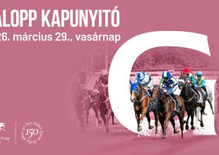 Hamarosan Galopp Kapunyitó!