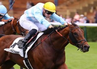 Clavus komoly figyelmet érdemel