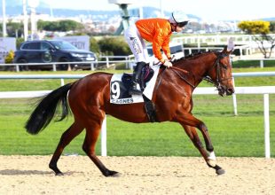 Galopp verseny a csütörtöki Kincsem+ futam