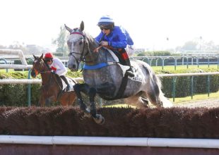 Dixan Senora utóbbi futásai kiválóak voltak, formában maradt és az első ötben végezhet