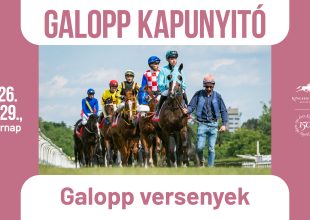 KAPUNYITÓ A GALOPPON, KEZDÉS 14 ÓRAKOR