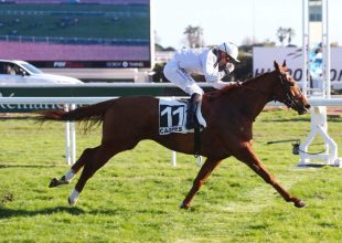 Grand Balcon nagyszerű formának örvend