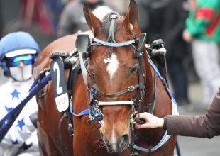 Go On Boy komoly figyelmet érdemel